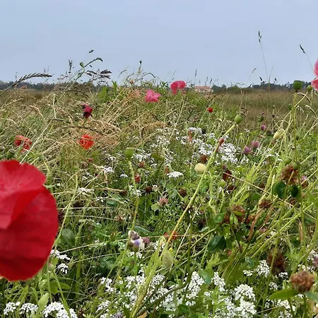 بيت للعطل 5 Person In Skagen-by Traum *