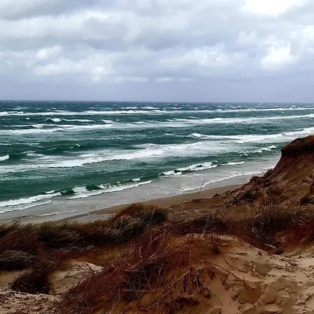 5 Star In Skagen Holiday home